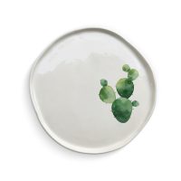 Cactus Series - C-2