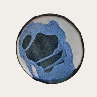 Blue Series Ceramic Plates - Blue-5